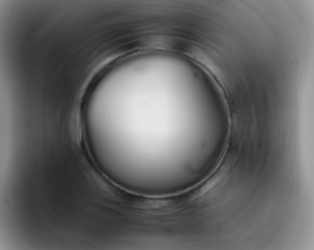 X0000092061123200709262023