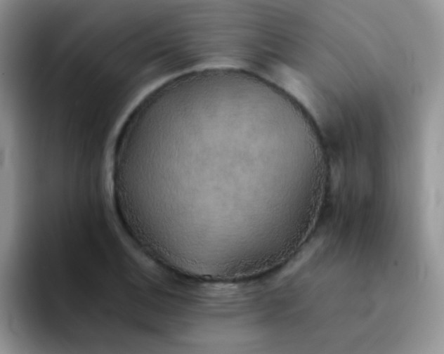 X0000092061124200709262023