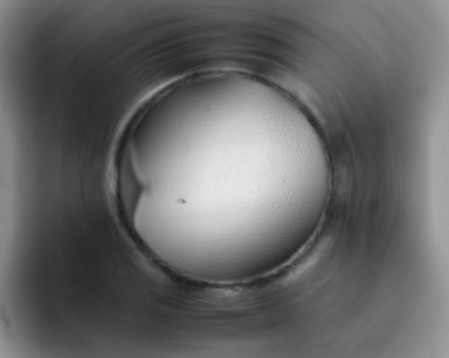 X0000092061125200709262023