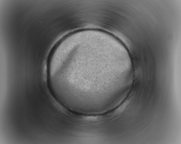 X0000092061126200709262023