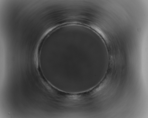 X0000092061127200709262023