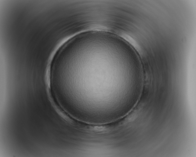 X0000092061128200709262023