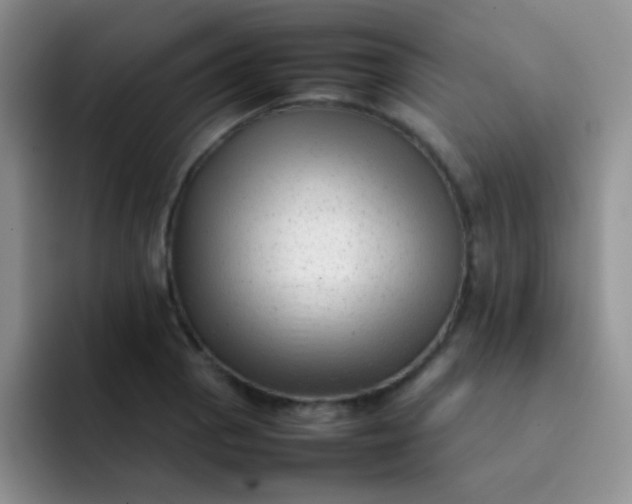 X0000092061129200709262023