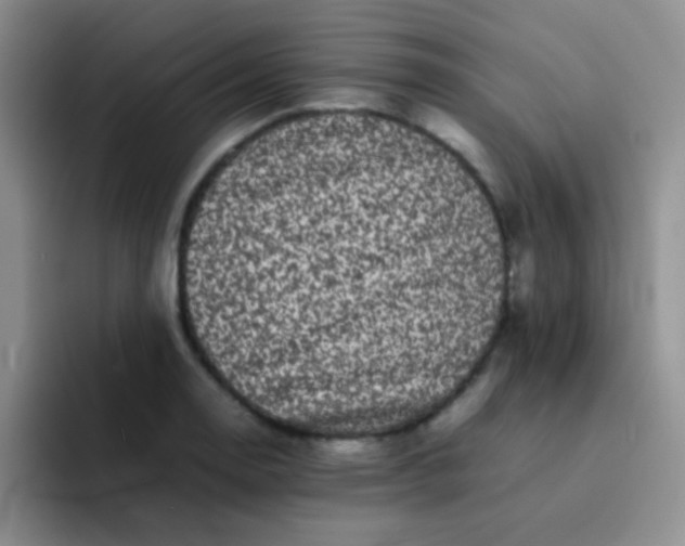 X0000092061130200709262023