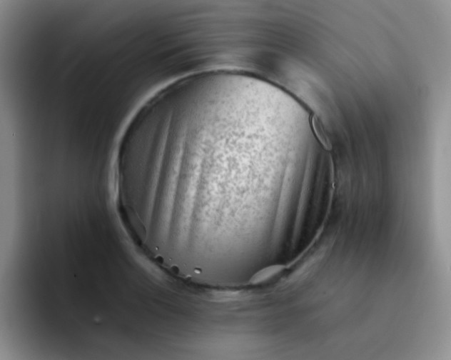 X0000092061132200709262023