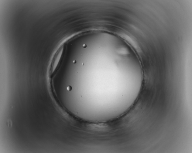 X0000092061133200709262023