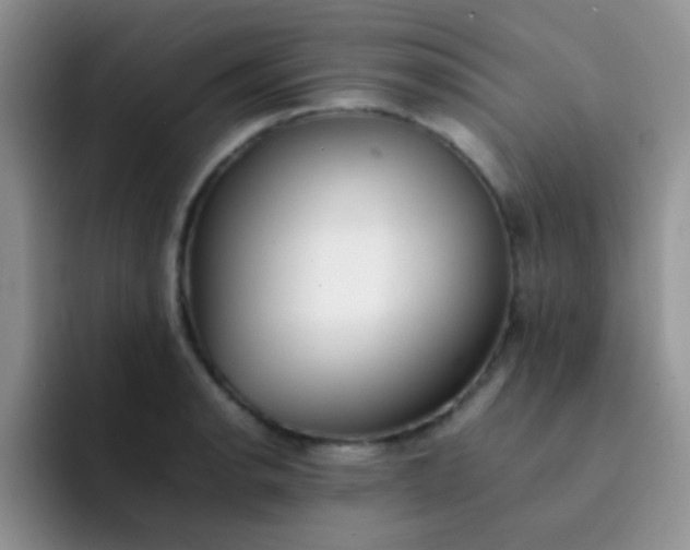 X0000092061134200709262023