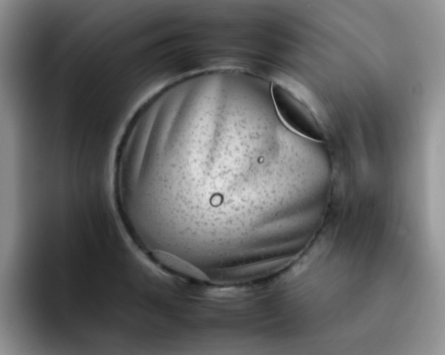 X0000092061135200709262023