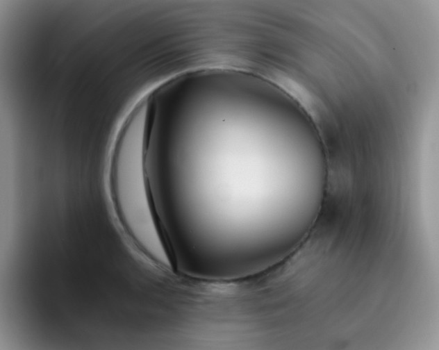 X0000092061136200709262023