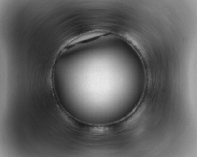 X0000092061137200709262023