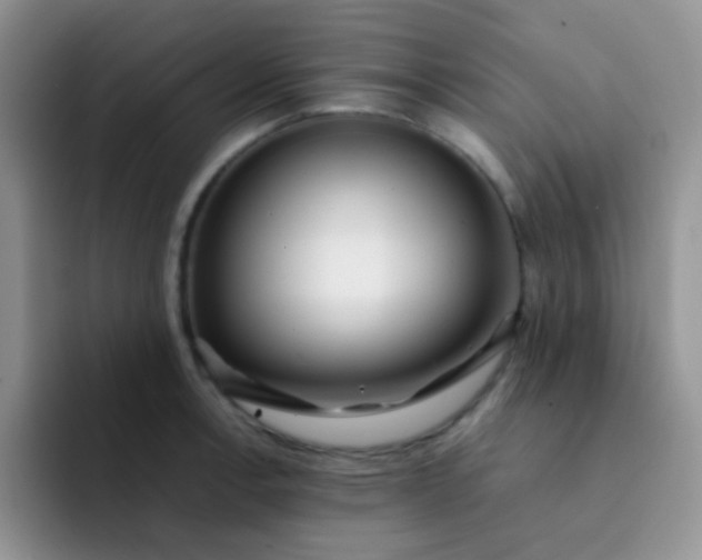 X0000092061138200709262023