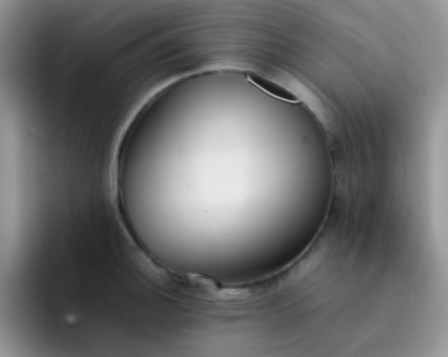 X0000092061140200709262023