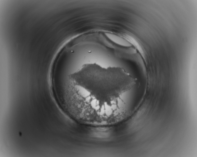 X0000092061141200709262023