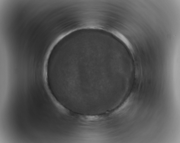 X0000092061144200709262023