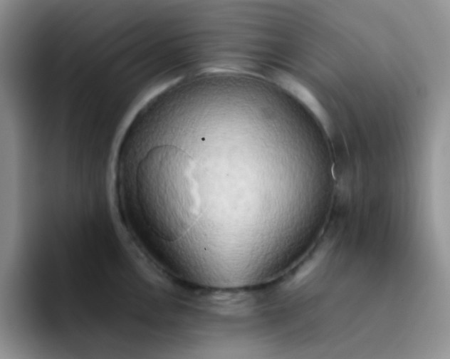 X0000092061146200709262023