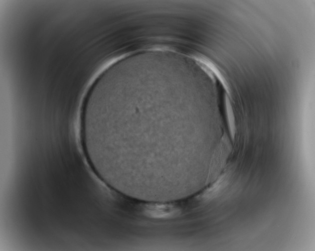 X0000092061147200709262023