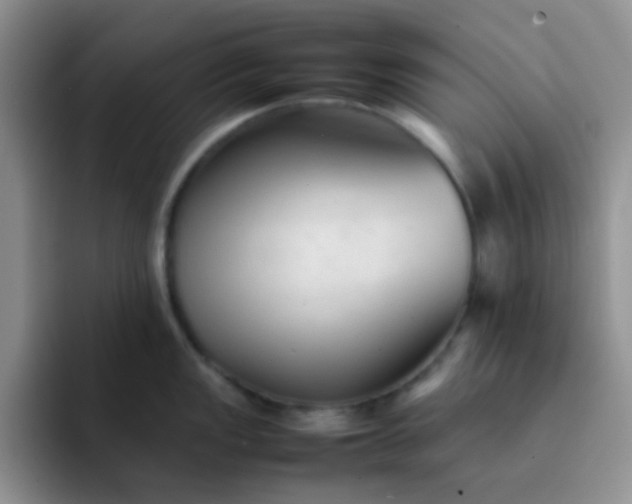 X0000092061149200709262023