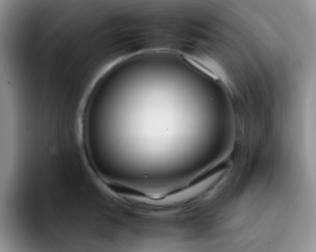 X0000092061151200709262023