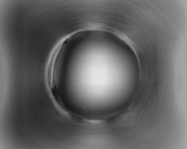 X0000092061152200709262023