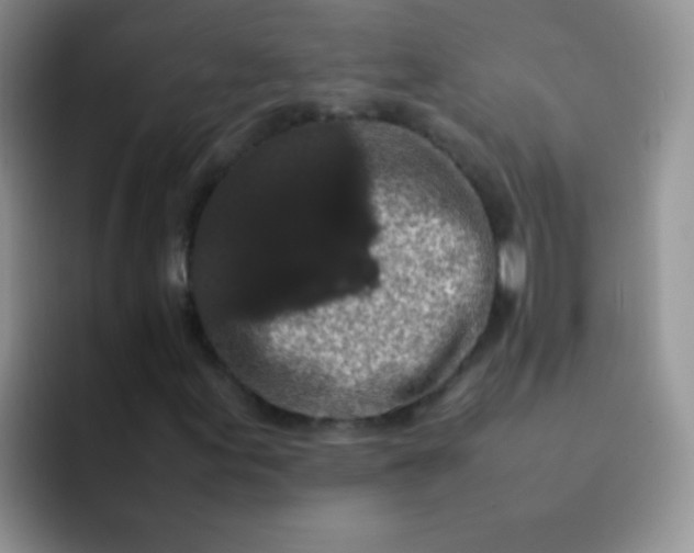 X0000092061155200709262022