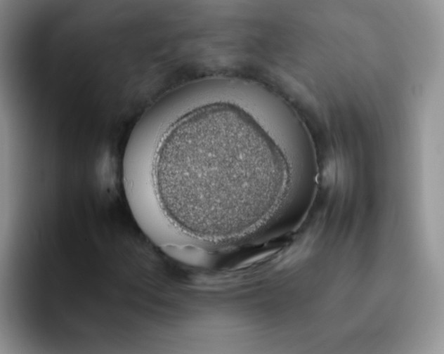 X0000092061156200709262022