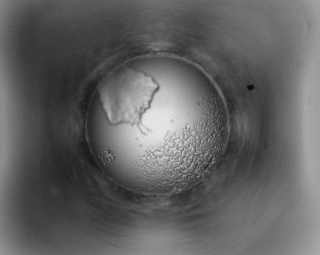 X0000092061158200709262022