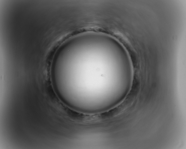 X0000092061159200709262022