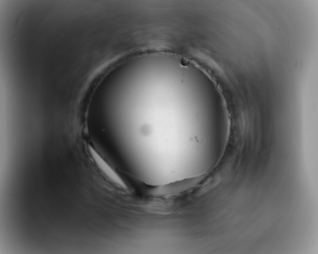 X0000092061160200709262022