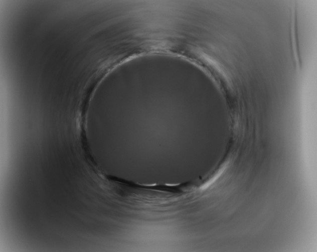 X0000092061161200709262022