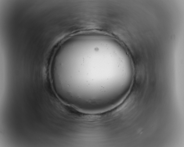 X0000092061163200709262022