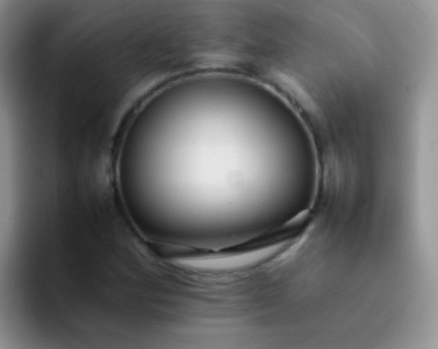 X0000092061164200709262022