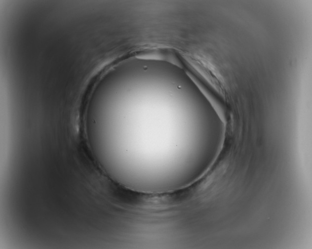 X0000092061165200709262022