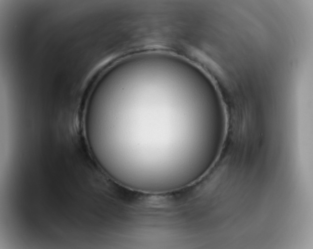 X0000092061166200709262022