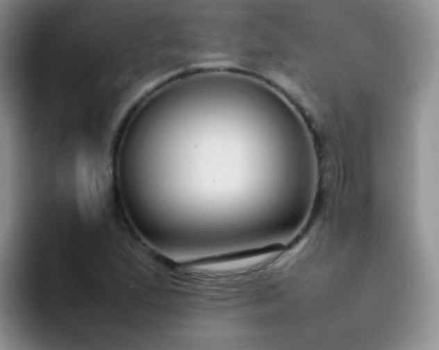 X0000092061167200709262022