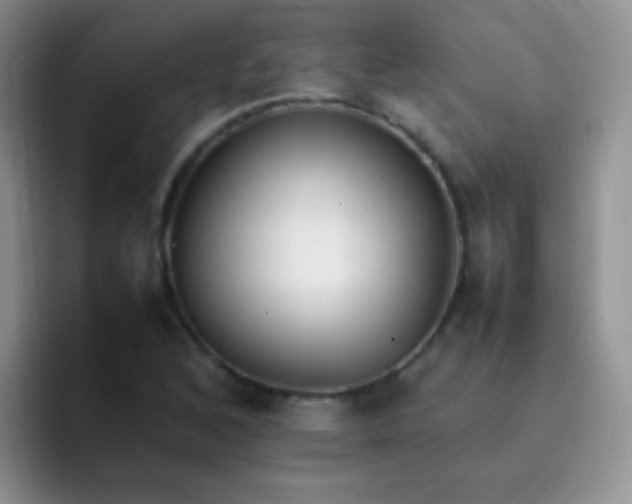 X0000092061168200709262022