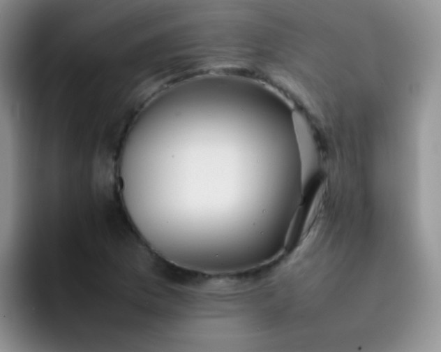 X0000092061169200709262022