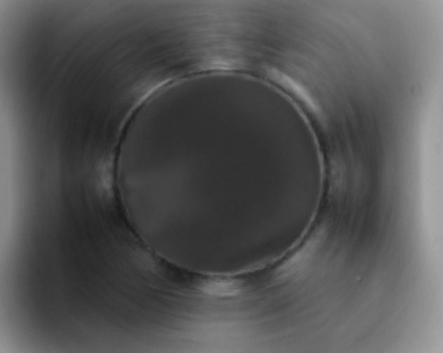 X0000092061170200709262022