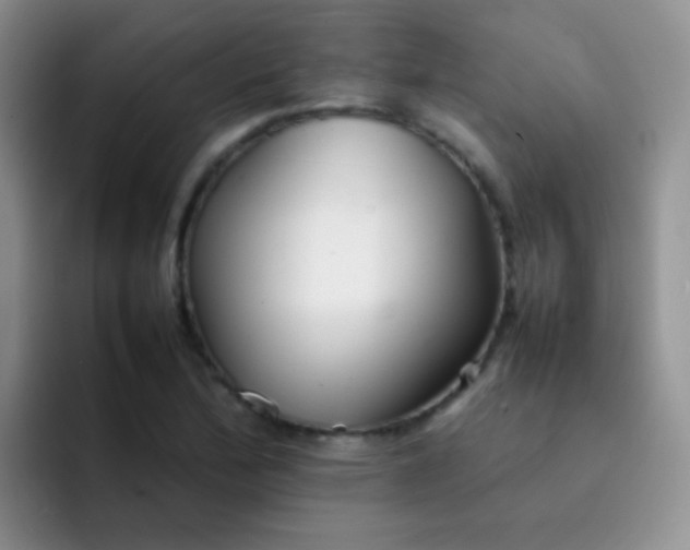 X0000092061172200709262022