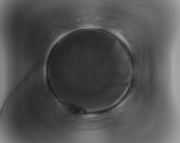 X0000092061173200709262022