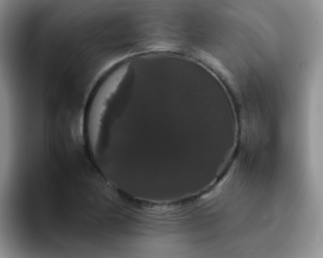 X0000092061174200709262022