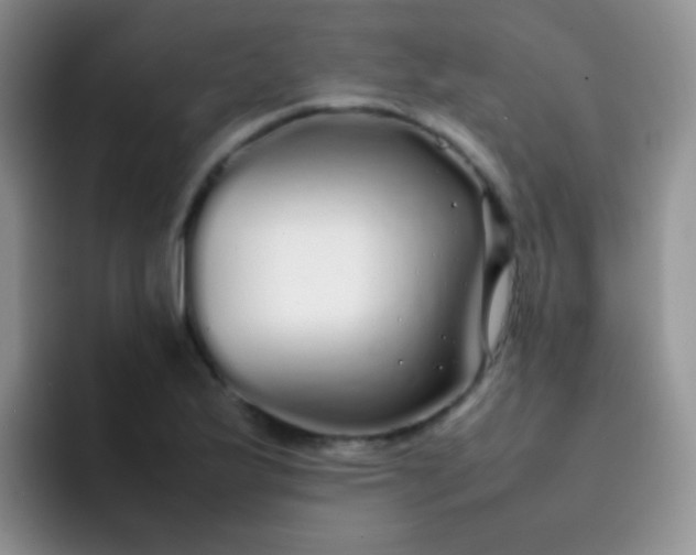 X0000092061175200709262022