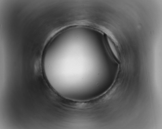 X0000092061176200709262022