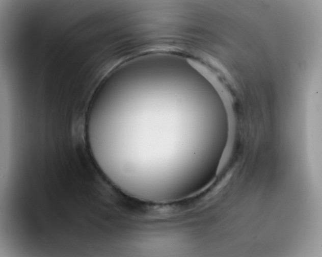 X0000092061177200709262022