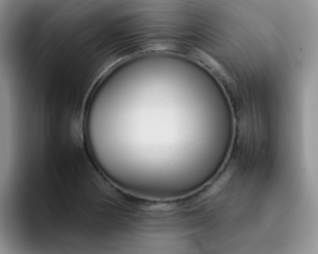 X0000092061178200709262022