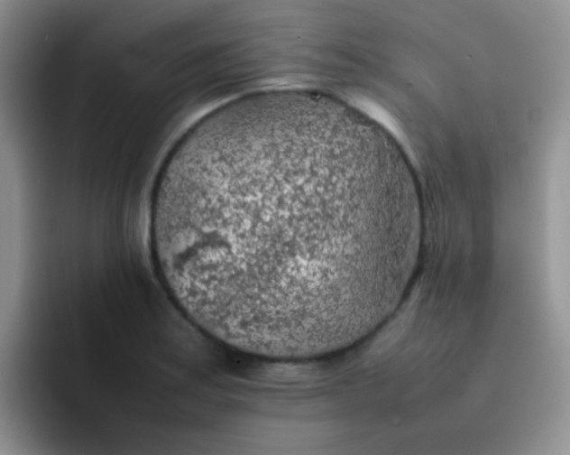 X0000092061179200709262022