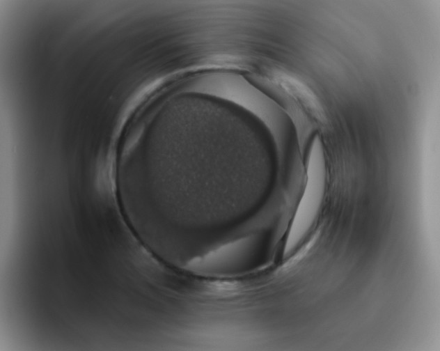 X0000092061180200709262022