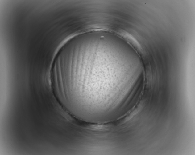 X0000092061182200709262022