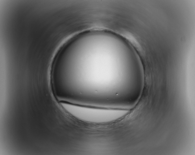 X0000092061183200709262022