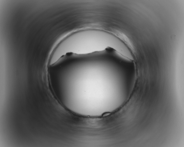 X0000092061184200709262022