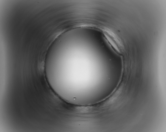 X0000092061185200709262022